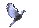Vous avez le salut de la colombe de paix du BDP!