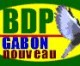 Gabon élections législatives: Les candidats du PDG distribuent de l’argent aux électeurs à Minvoul