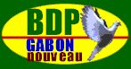 Gabon élections législatives: Les candidats du PDG distribuent de l’argent aux électeurs à Minvoul