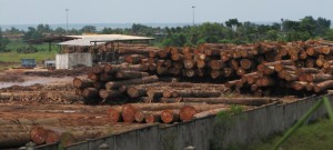 La SNBG reçoit un financement de 9 milliards de Francs CFA