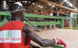 Bois : le Gabon s’offre une part de Rougier