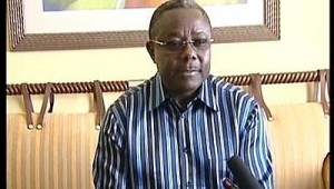 Gabon : Divungi Di Ndinge, riziculteur