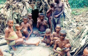 Des Pygmées et des Bantu