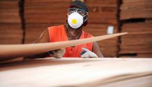 Gabon : les forestiers planchent sur la transformation